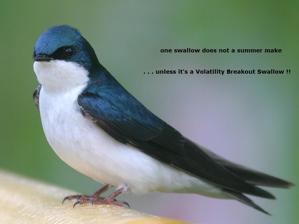 Tree-Swallow.jpg